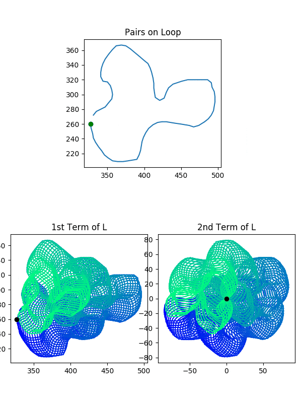 L Torus Loops