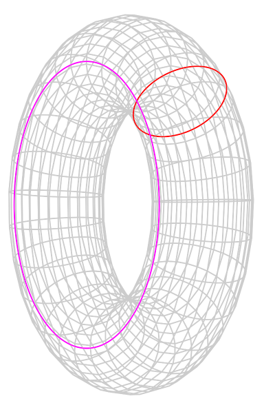 Torus Loops